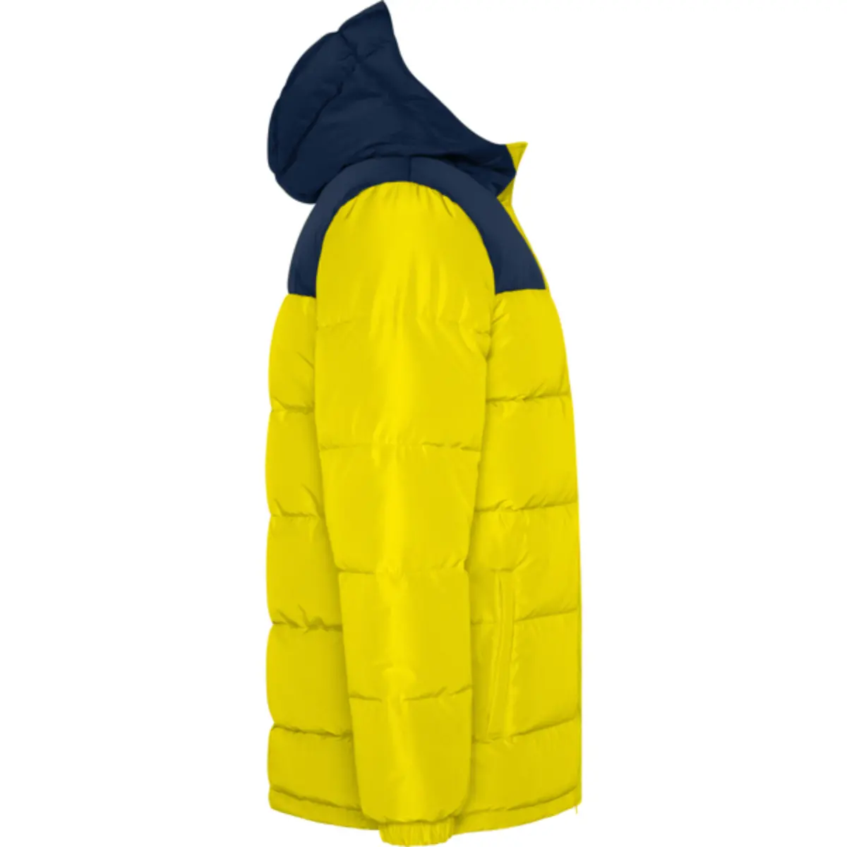TALLIN - yellow/navy