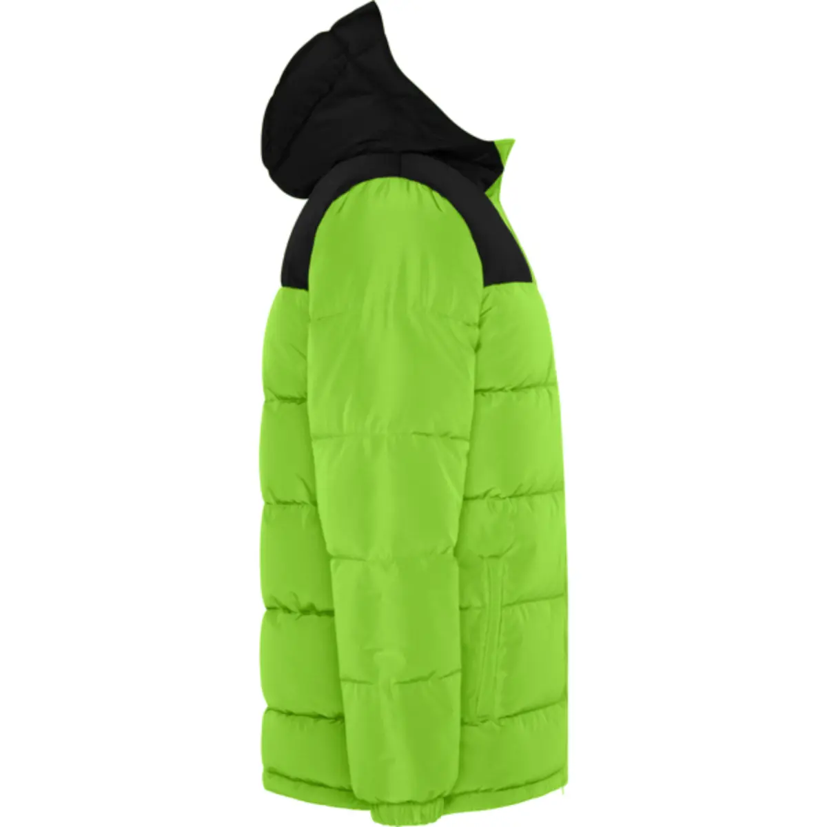 TALLIN - lime green/black