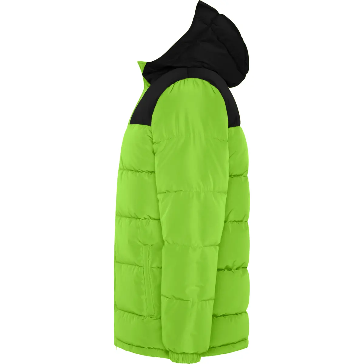 TALLIN - lime green/black