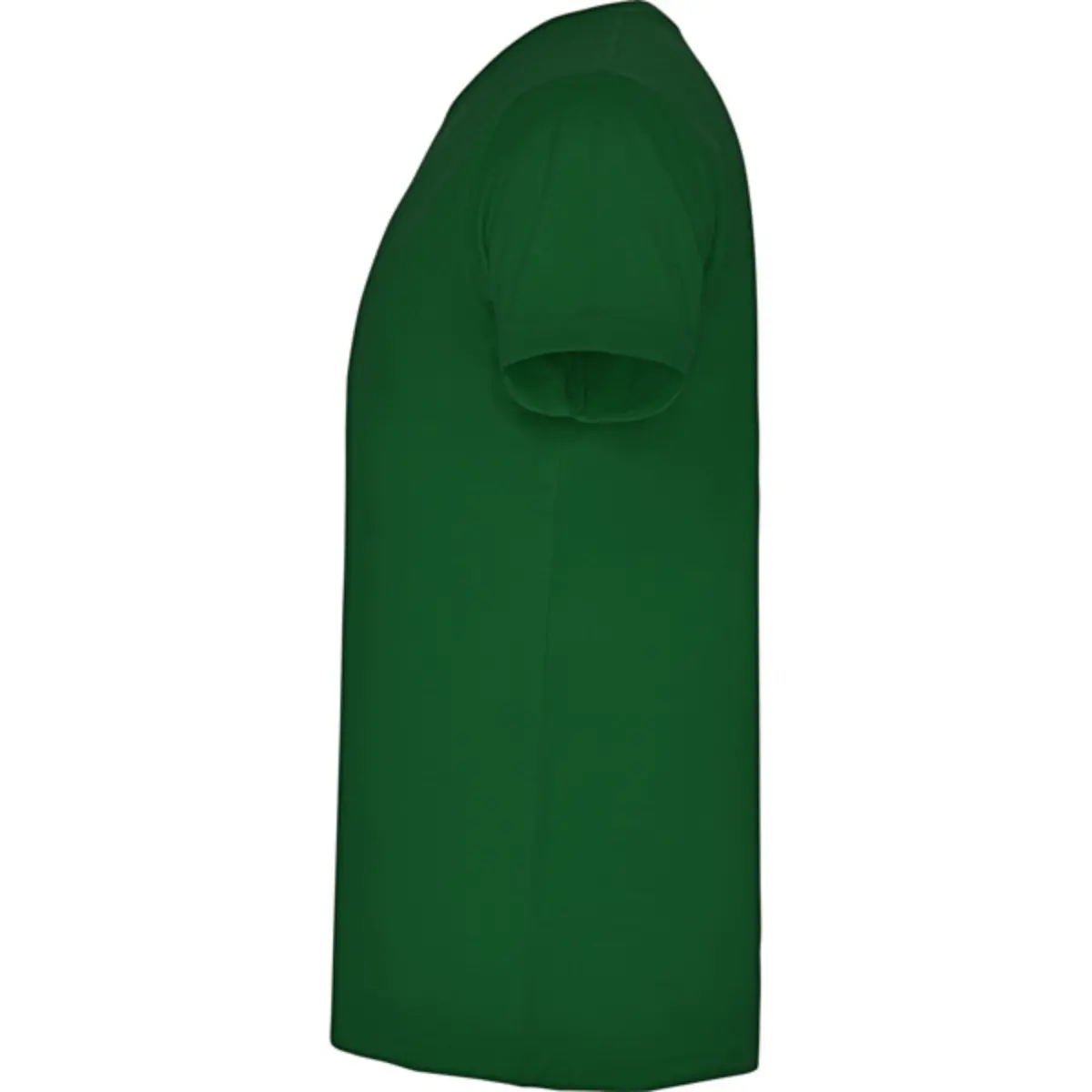 SAMOYEDO - bottle green
