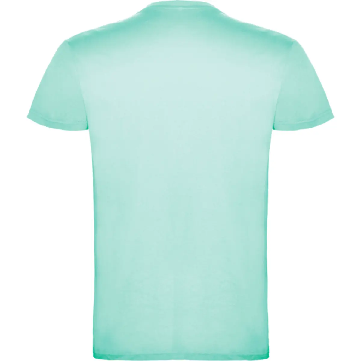 BEAGLE - verd menta