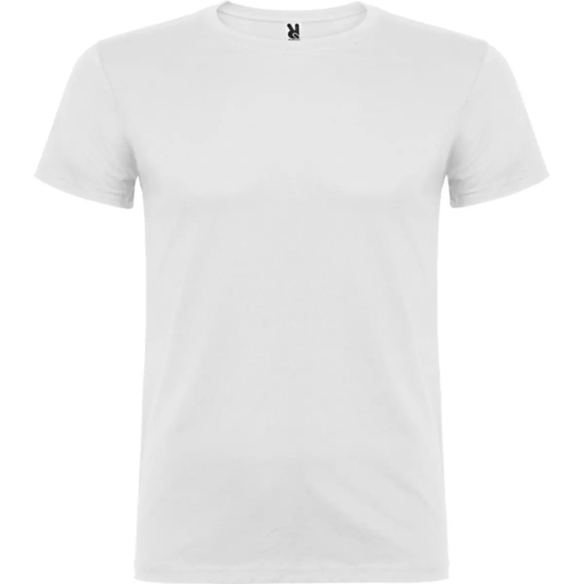 BEAGLE - blanco