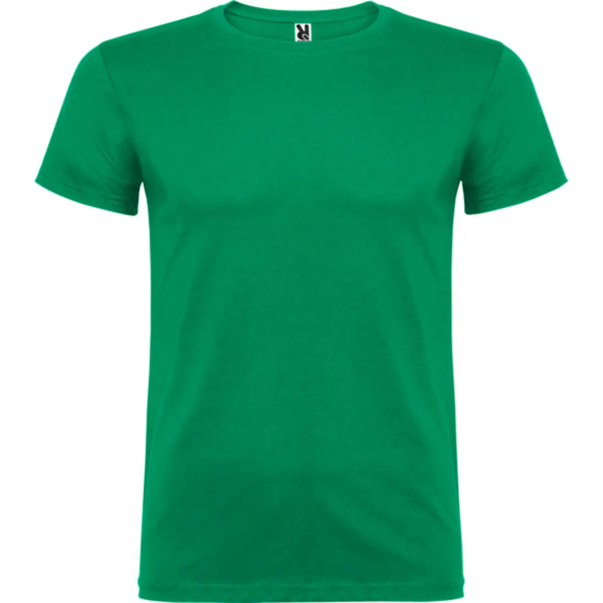 BEAGLE - verde kelly