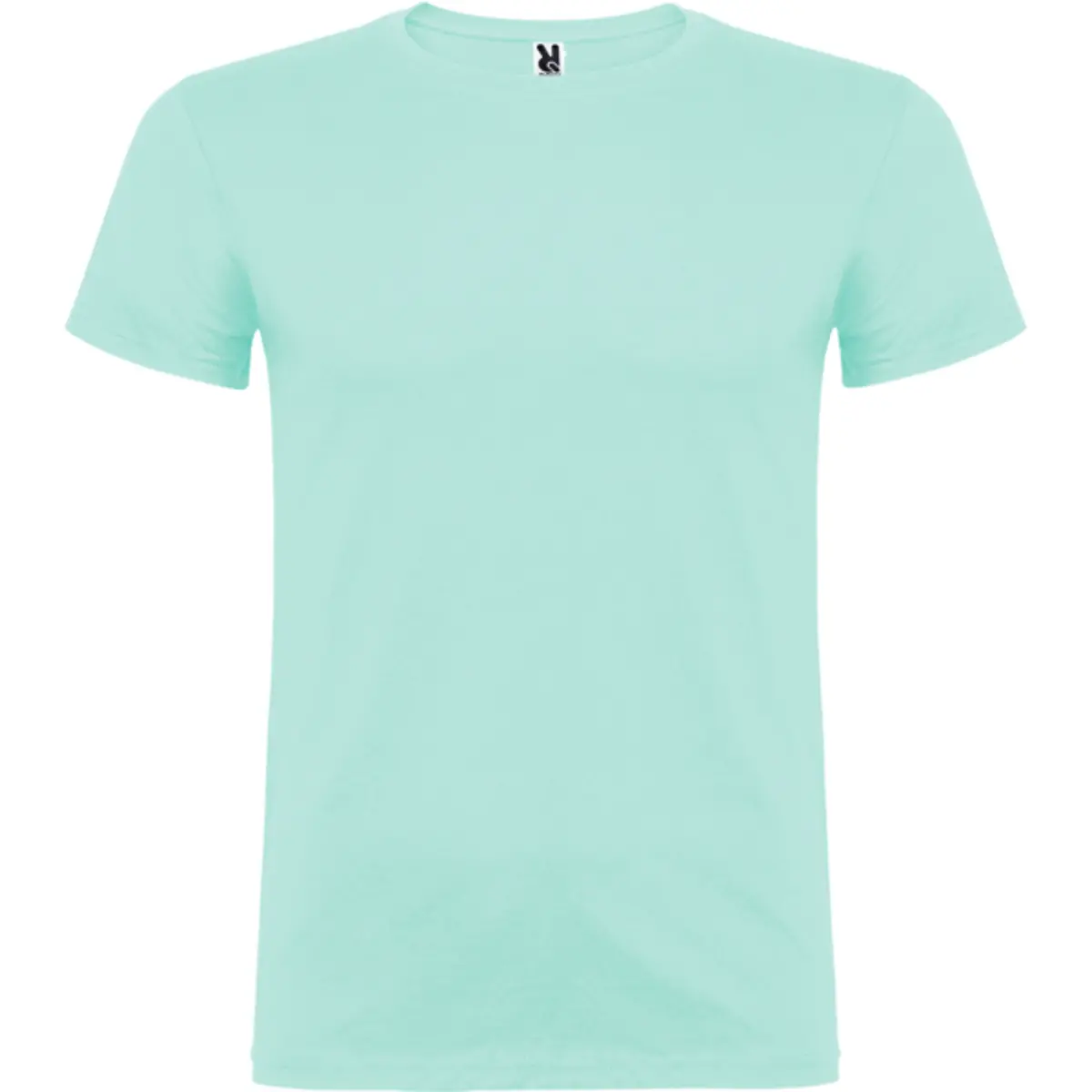 BEAGLE - verd menta