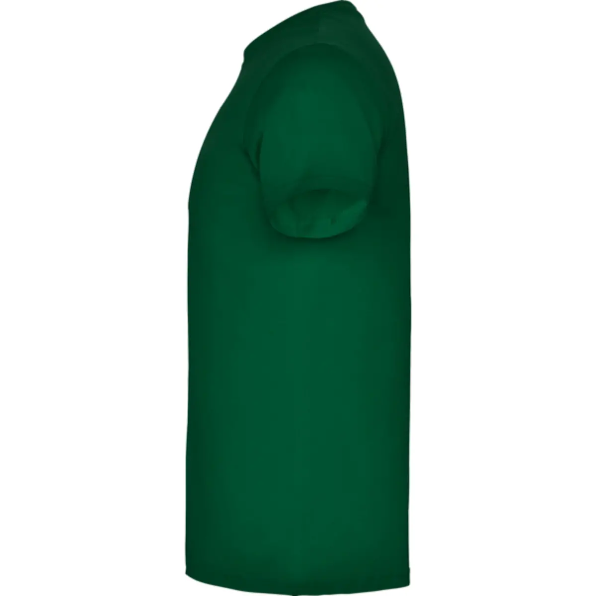 BEAGLE - verde botella