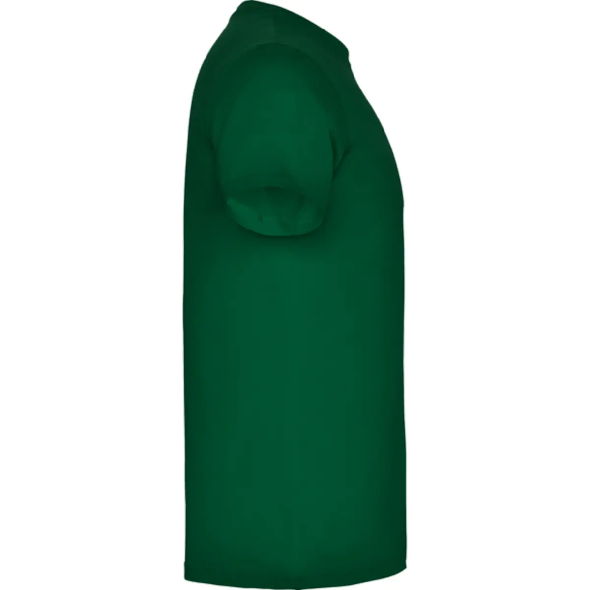 BEAGLE - bottle green