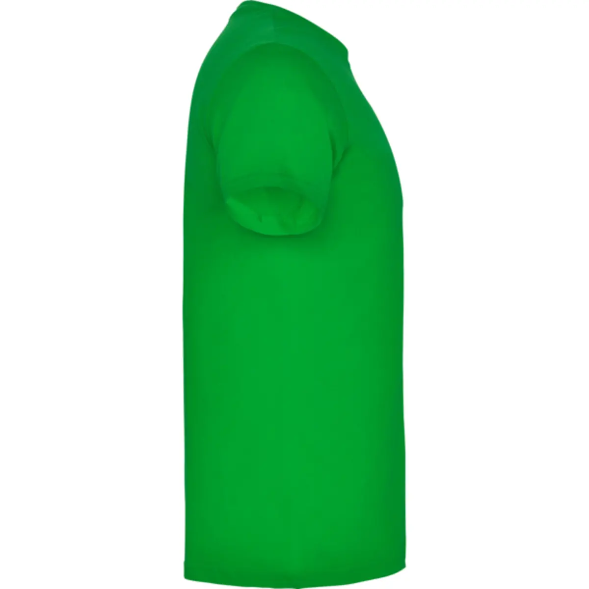 BEAGLE - verd herba