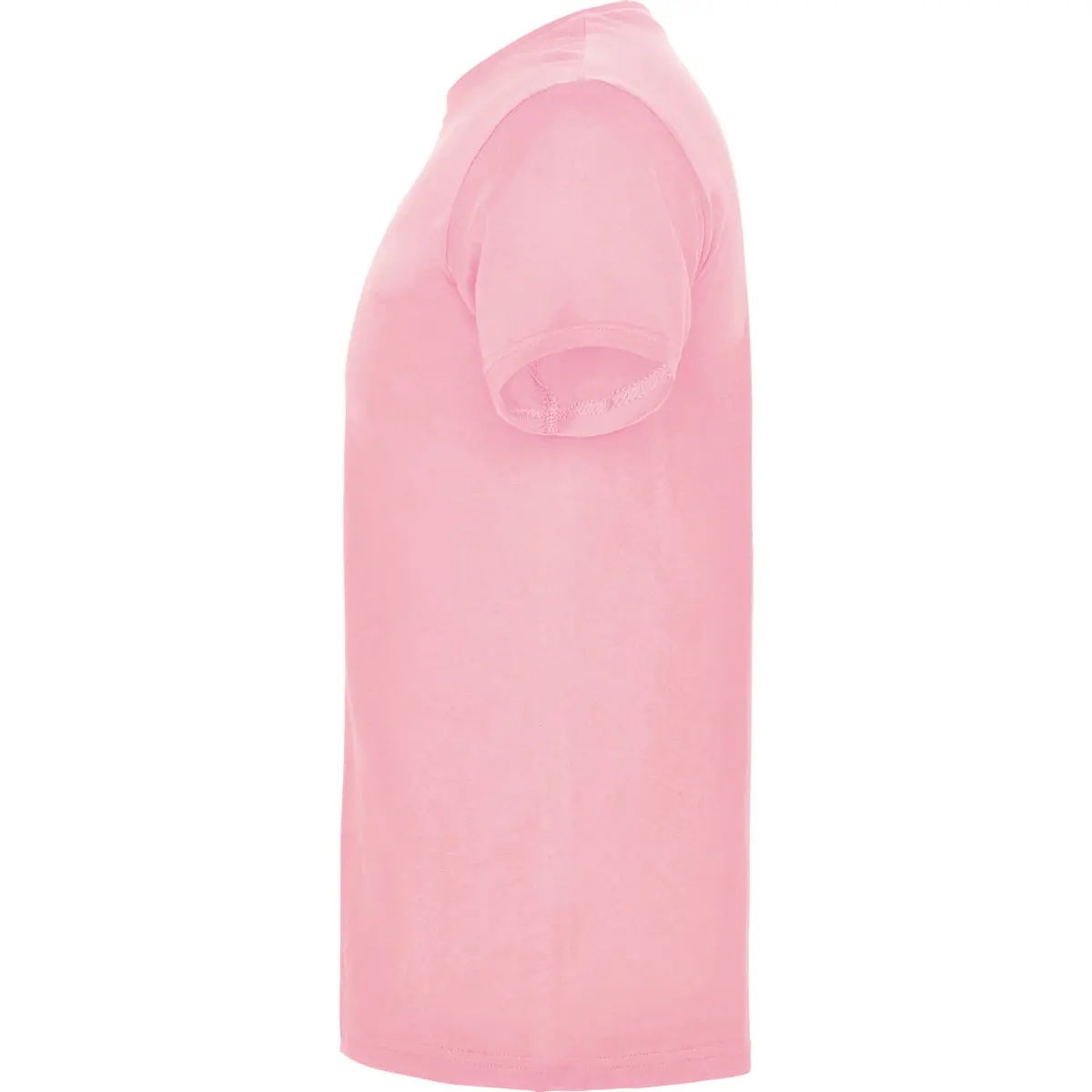 BEAGLE - rosa