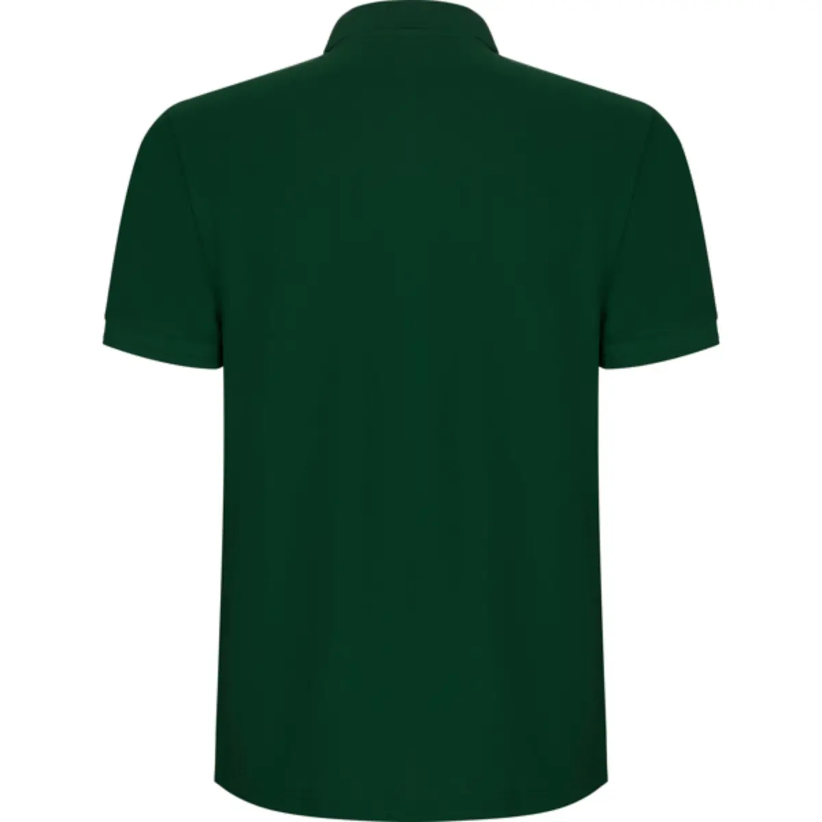 PEGASO PREMIM - bottle green