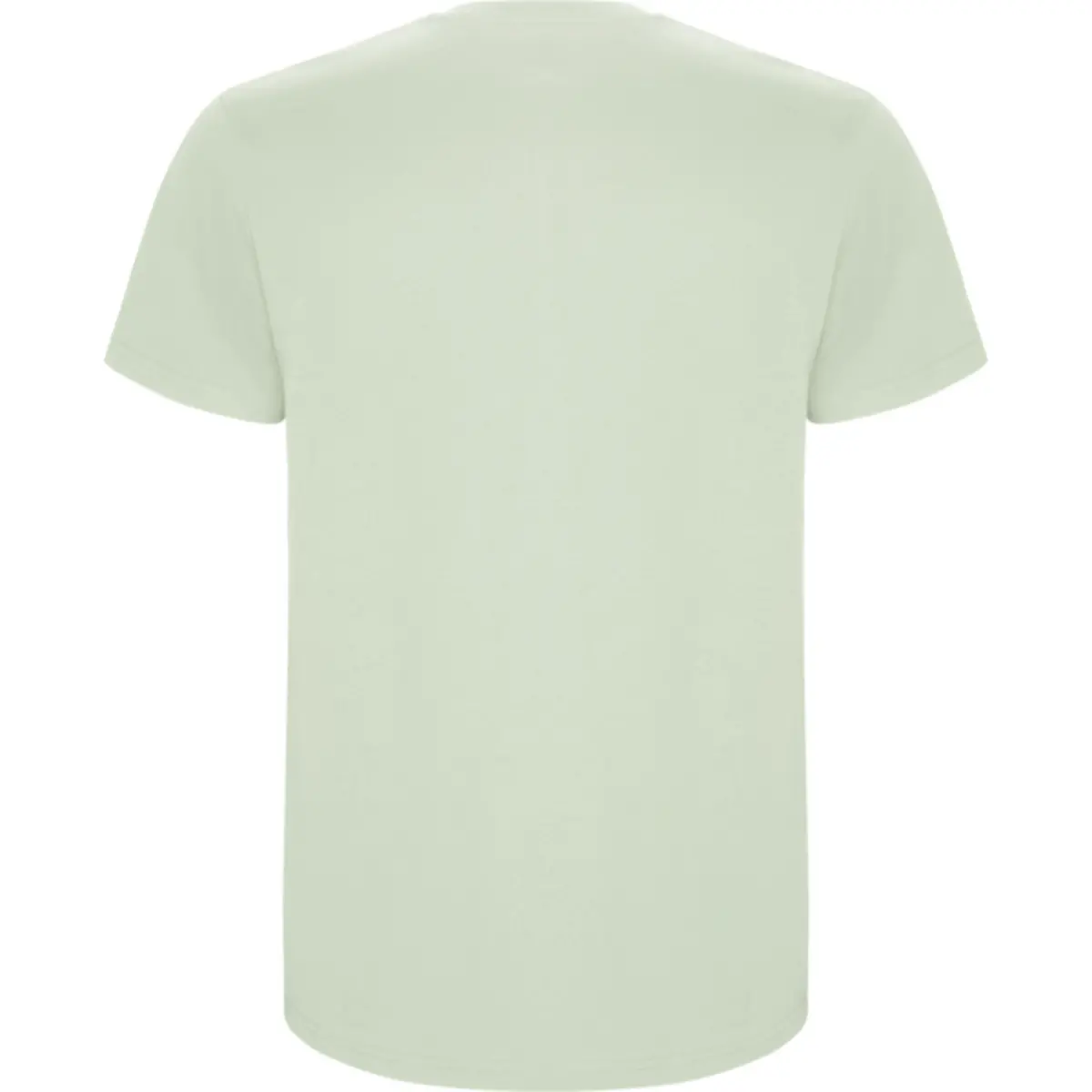 STAFFORD - verde mist