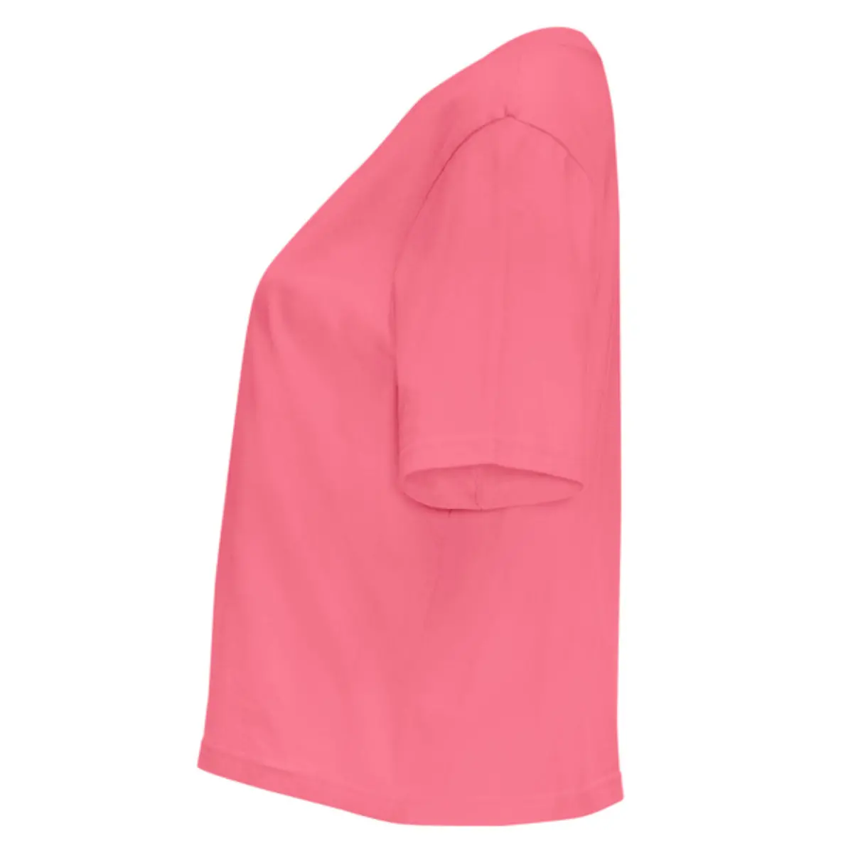 DOMINICA - rosa lady fluor