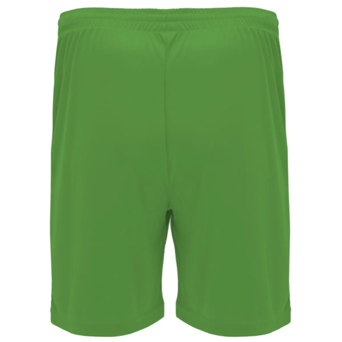 DORTMUND - verde helecho