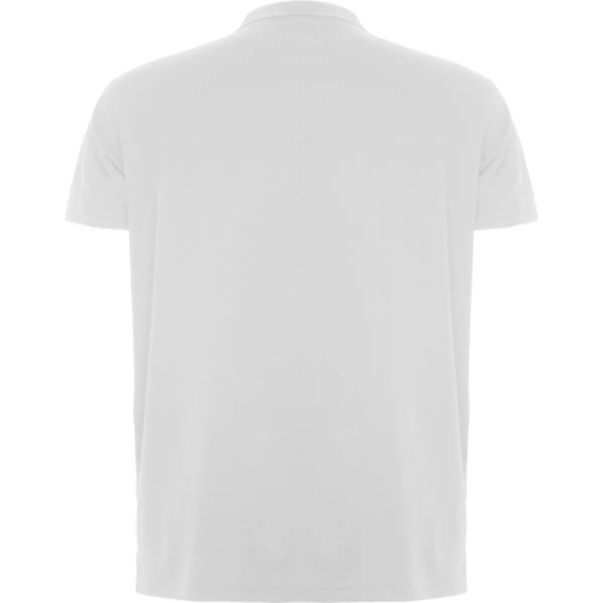 ROVER - white