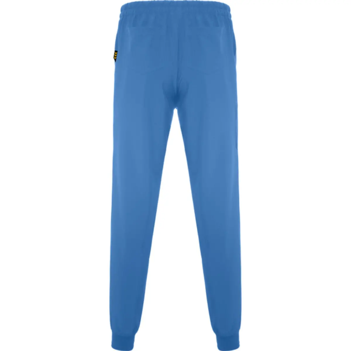 FIBER - blue lab