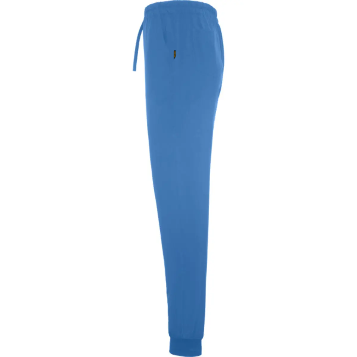 FIBER - blue lab